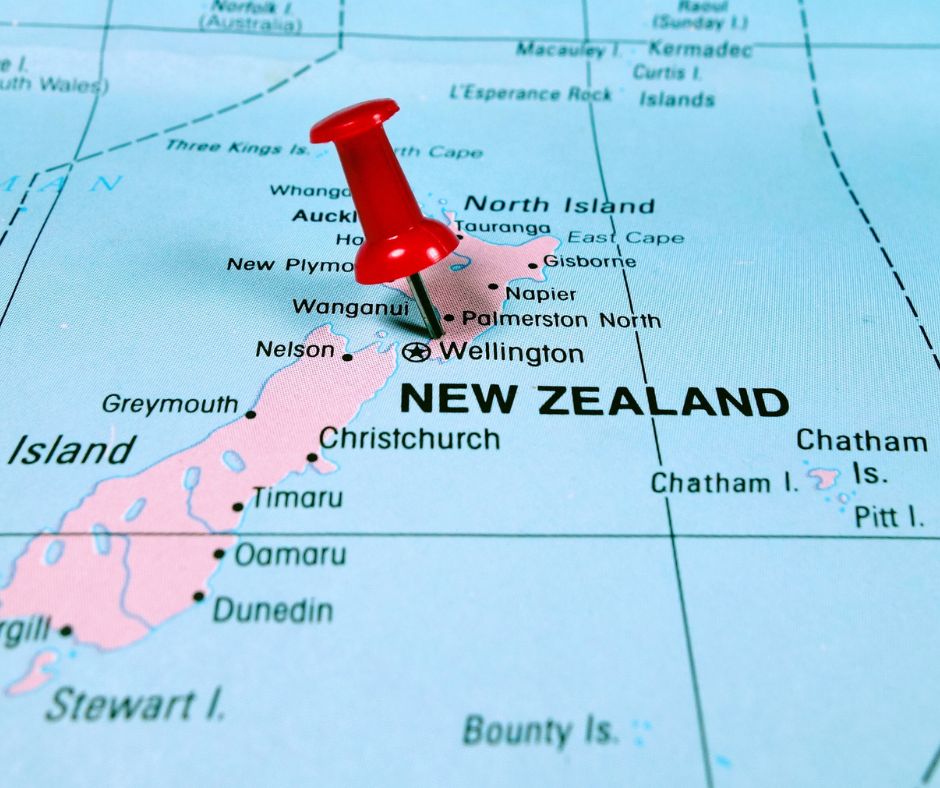 Dynamics and Impact of the Internet in New Zealand